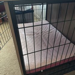 Dog Kennel
