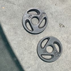 Two 5 Pound Cap Weights