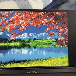 Lepow Portible monitor 