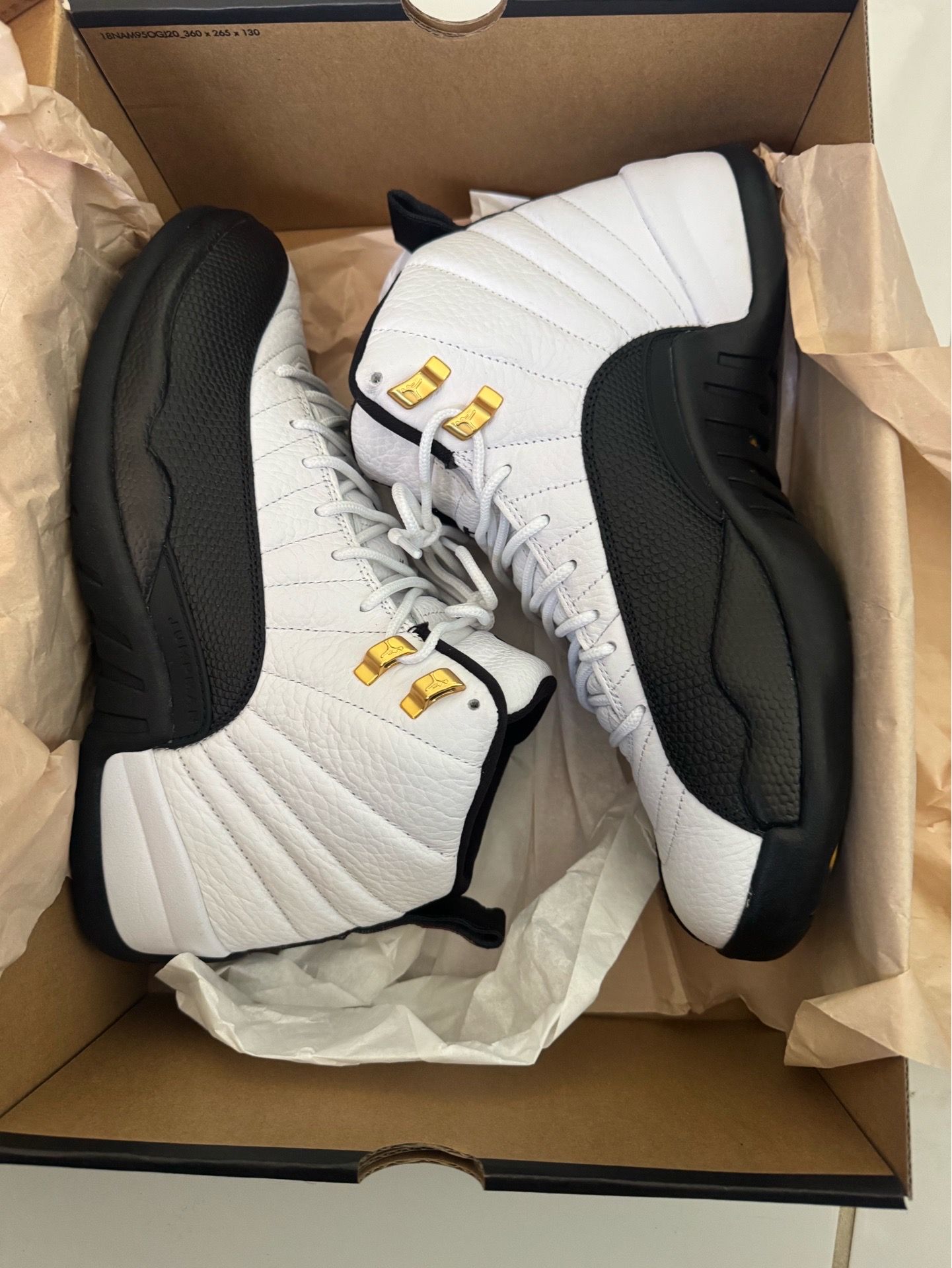 Air Jordan Taxi 12s Size 10