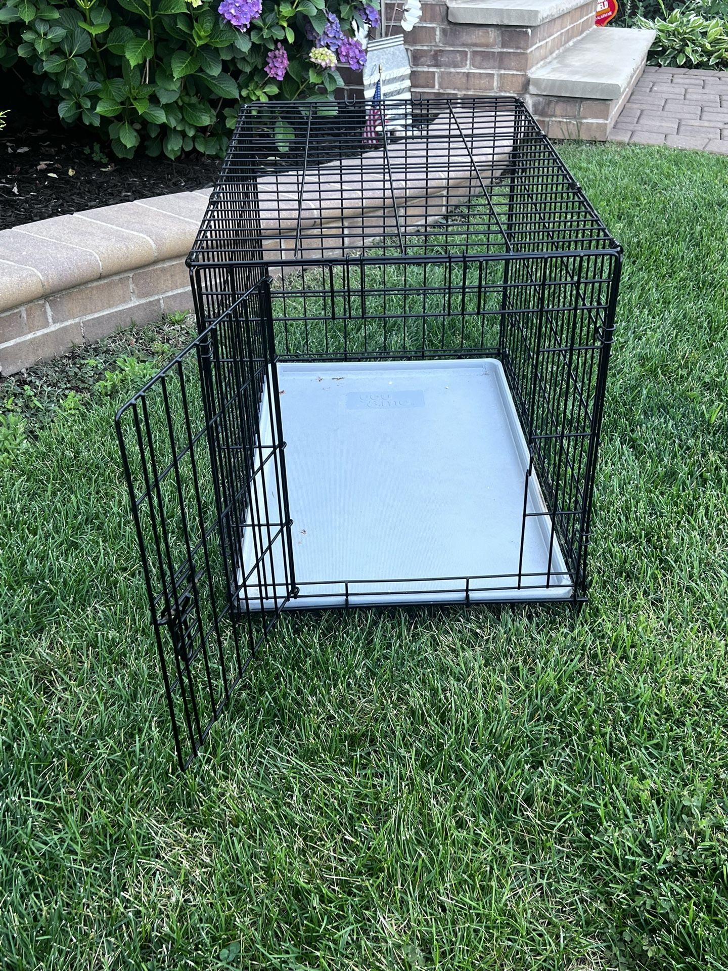 Dog Crate