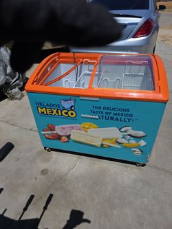 Fridge