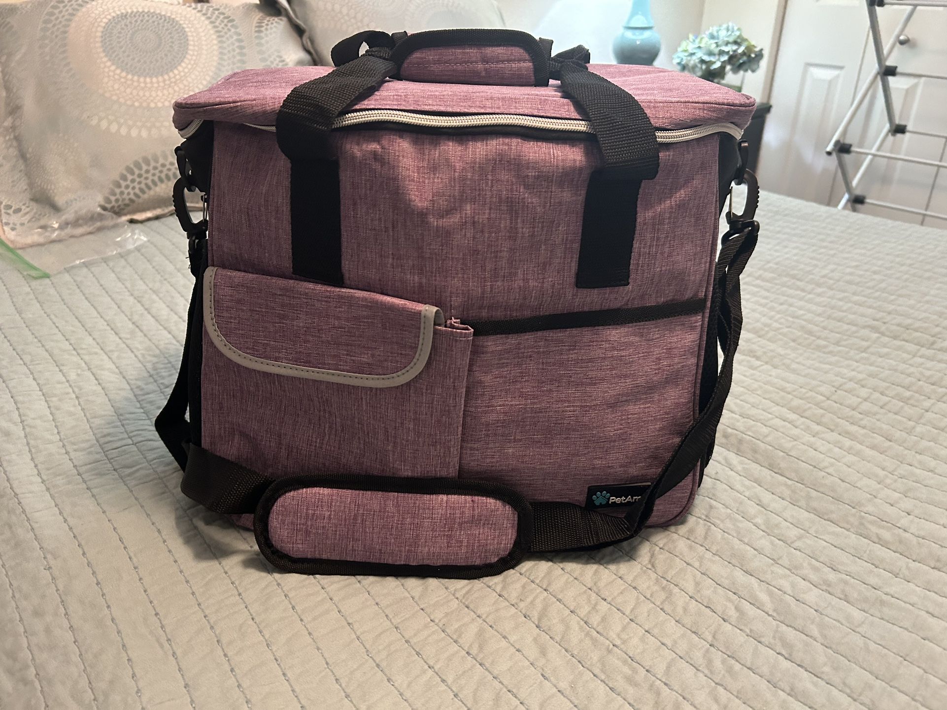 Pet Travel Bg