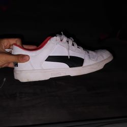 White Pumas