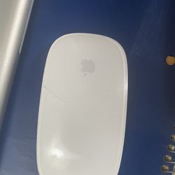Apple Mouse 