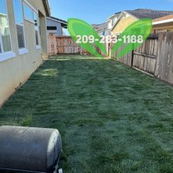 Best Quality Sod