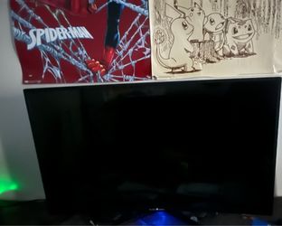 Black widow monitor