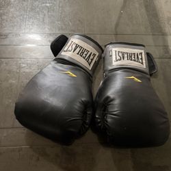 Everlast Boxing Gloves 