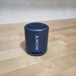 Sony Portable Bluetooth Speaker 