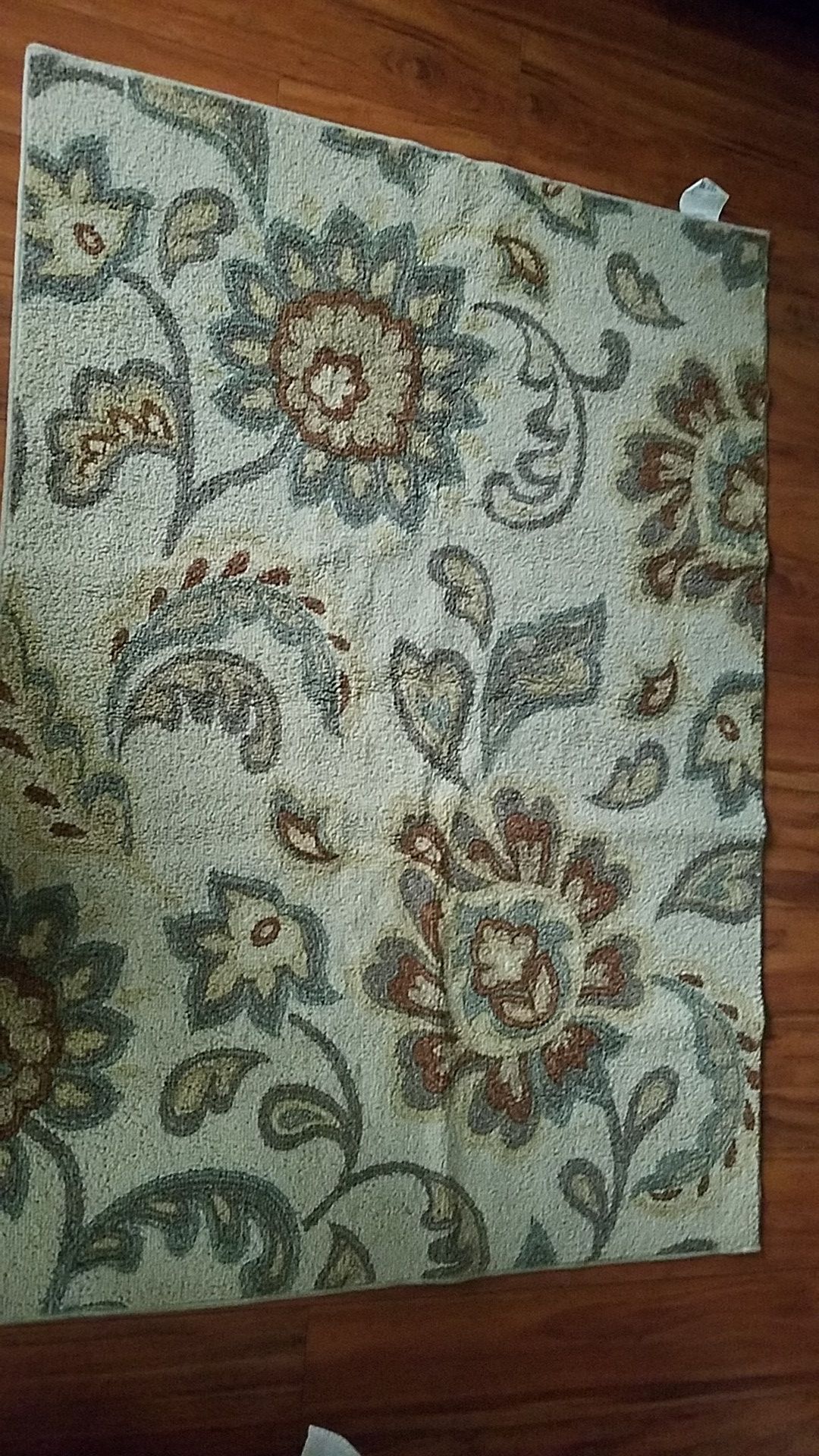 Area rug(4×5.6Ft)