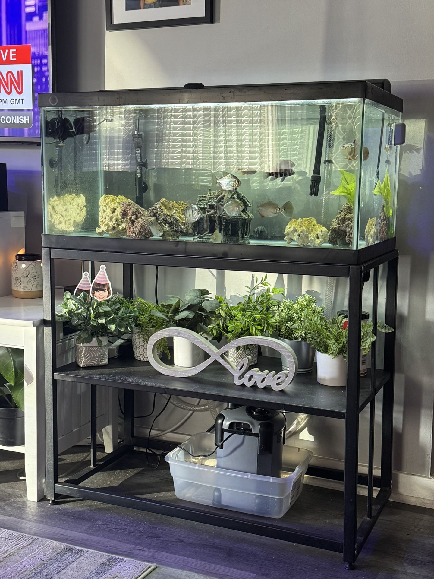 Fish Tank And Stand