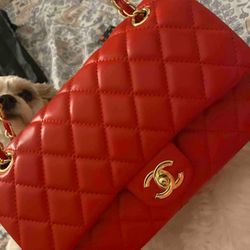 Designer Purse