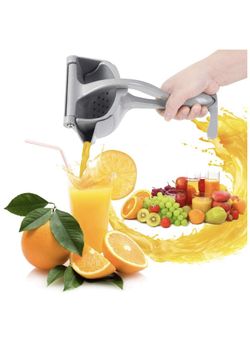 Stainless Steel Fruit Juicer