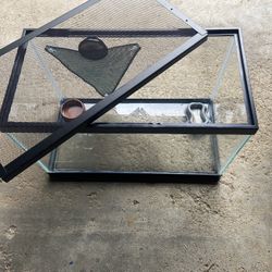 Reptile Tank
