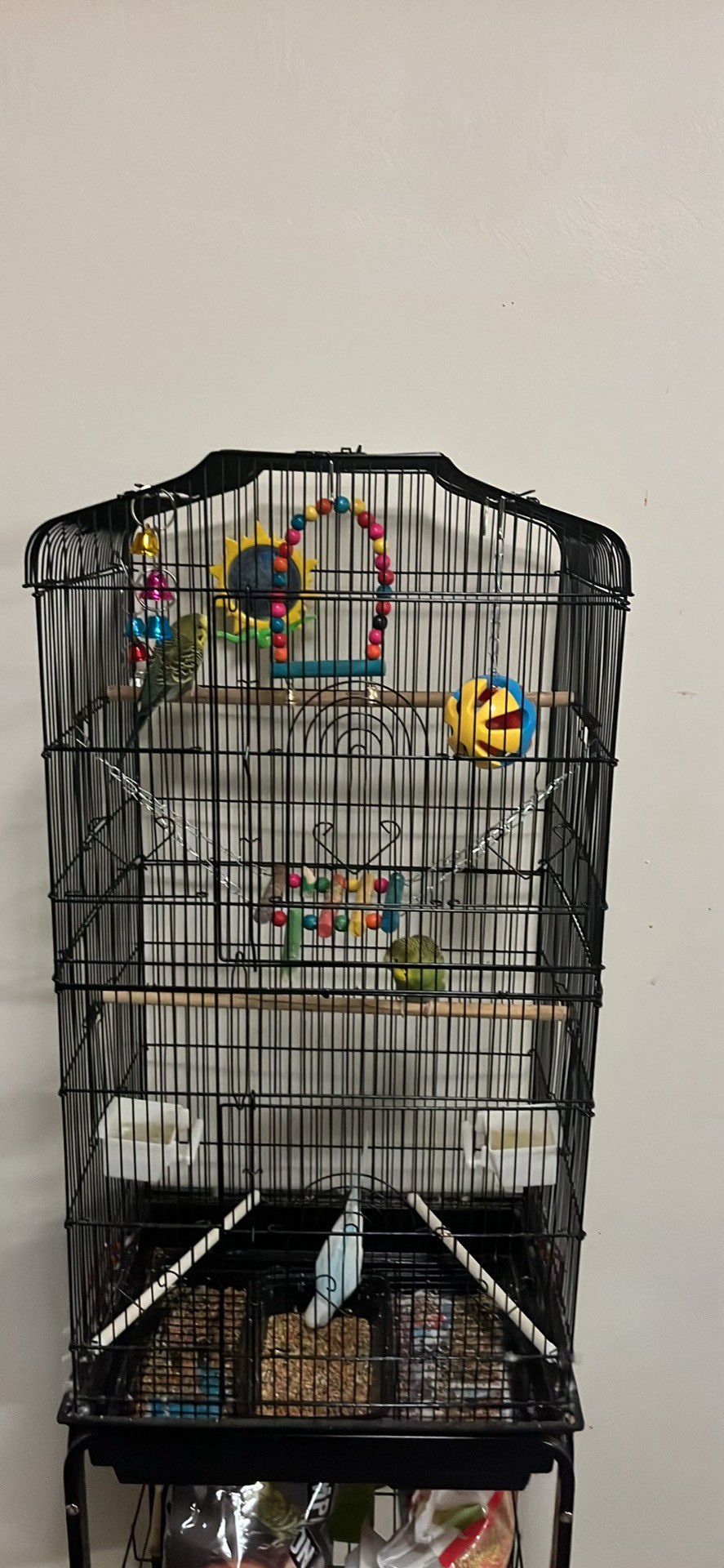 Birds With Cage 