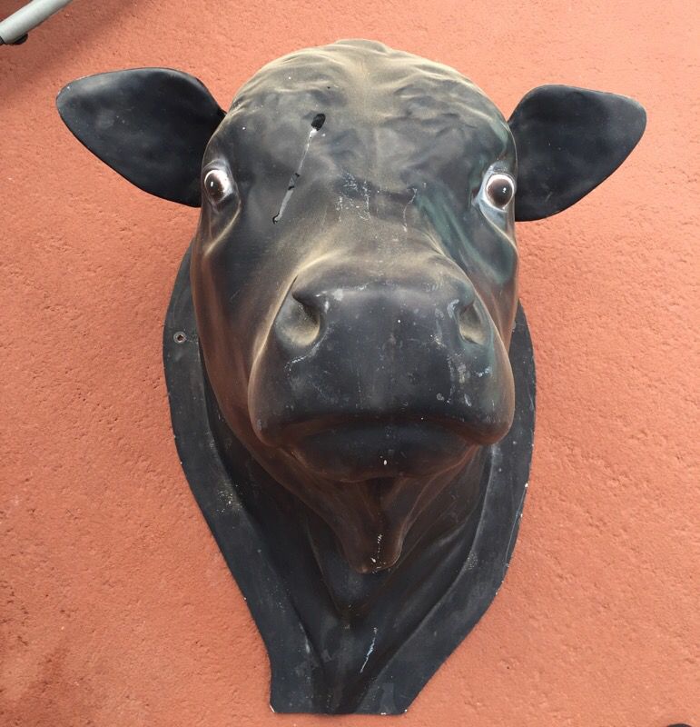 Black Cow,s Head