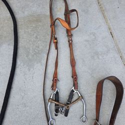 Horse TAC