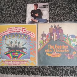 NEAR MINT BEATLES VINYL RECORD COLLECTION 