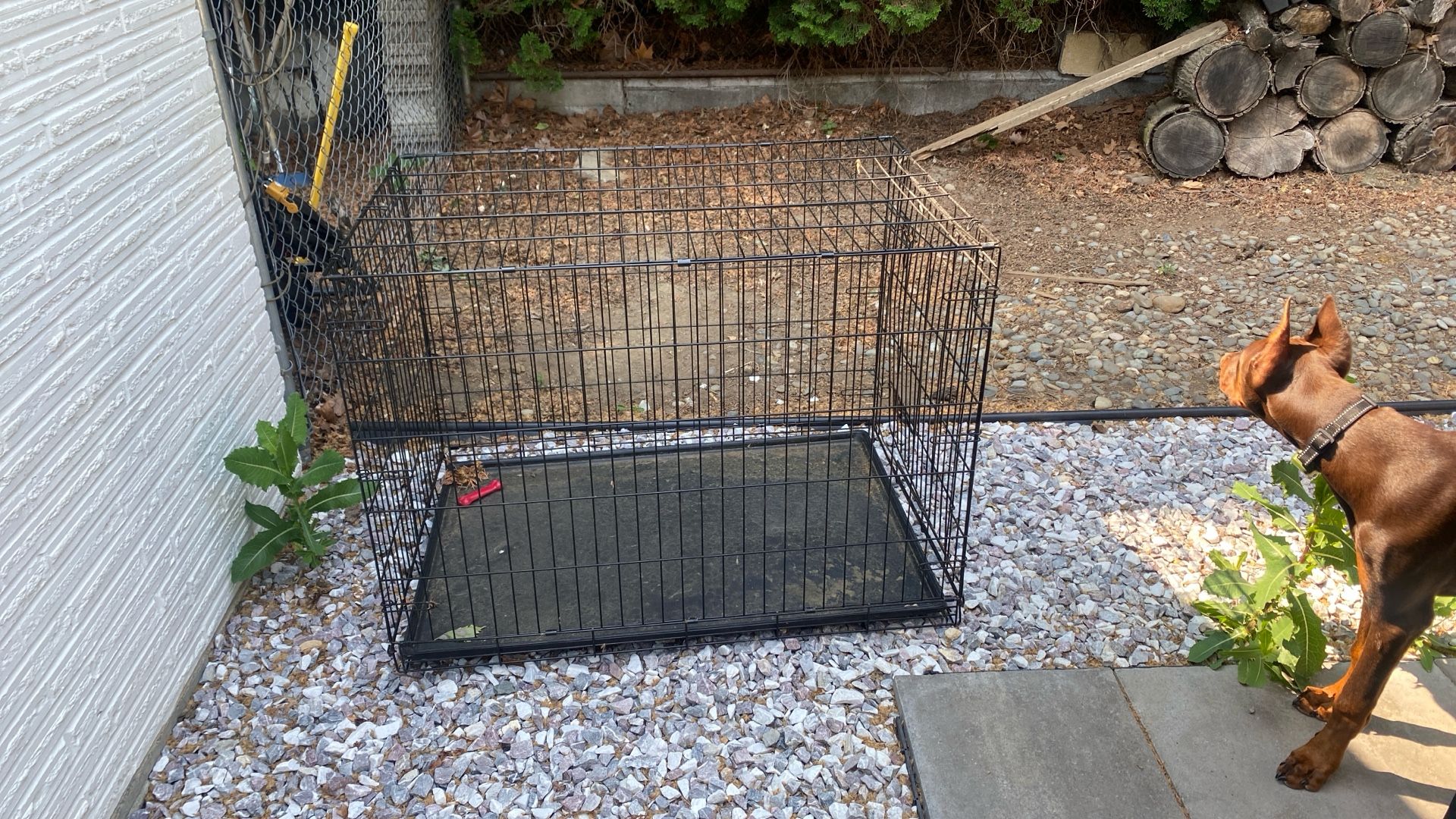 Large Dog Crate 29 By 42 Inches