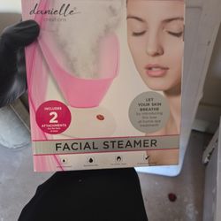 Facial Steamer 