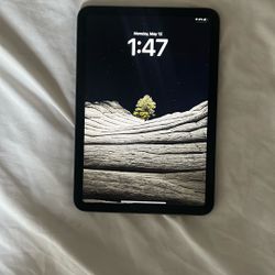 Brand New iPad Mini $300