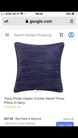 BRAND NEW Tracy porter throw pillow