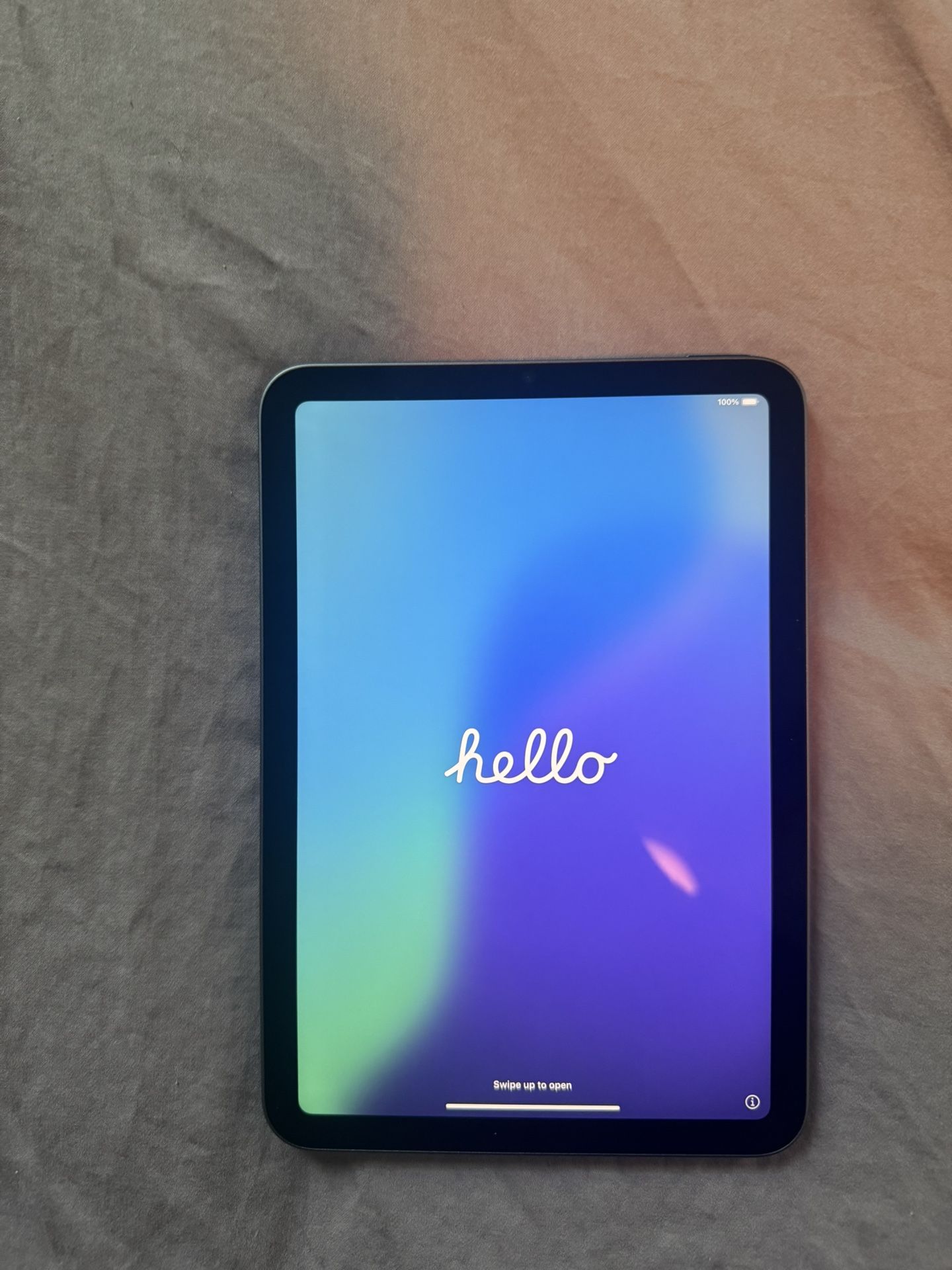 256gb iPad Mini New Gen
