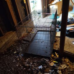 Dog Cage 