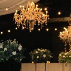 Plug-In Chandeliers