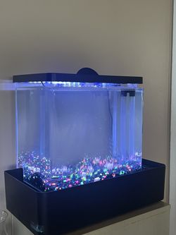 Fish Tank