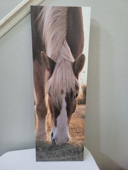 Horse canvas 1ft x 3ft $10