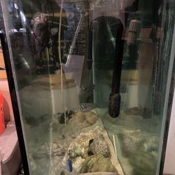 Free Fish Tank 75 Gallon 