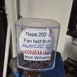 Matt Williams 