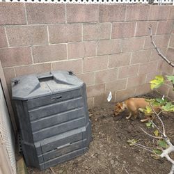 Compost BIN