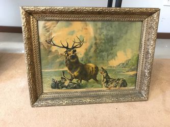 A stag at bay