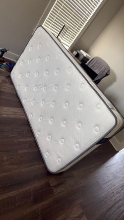 Free twin mattress
