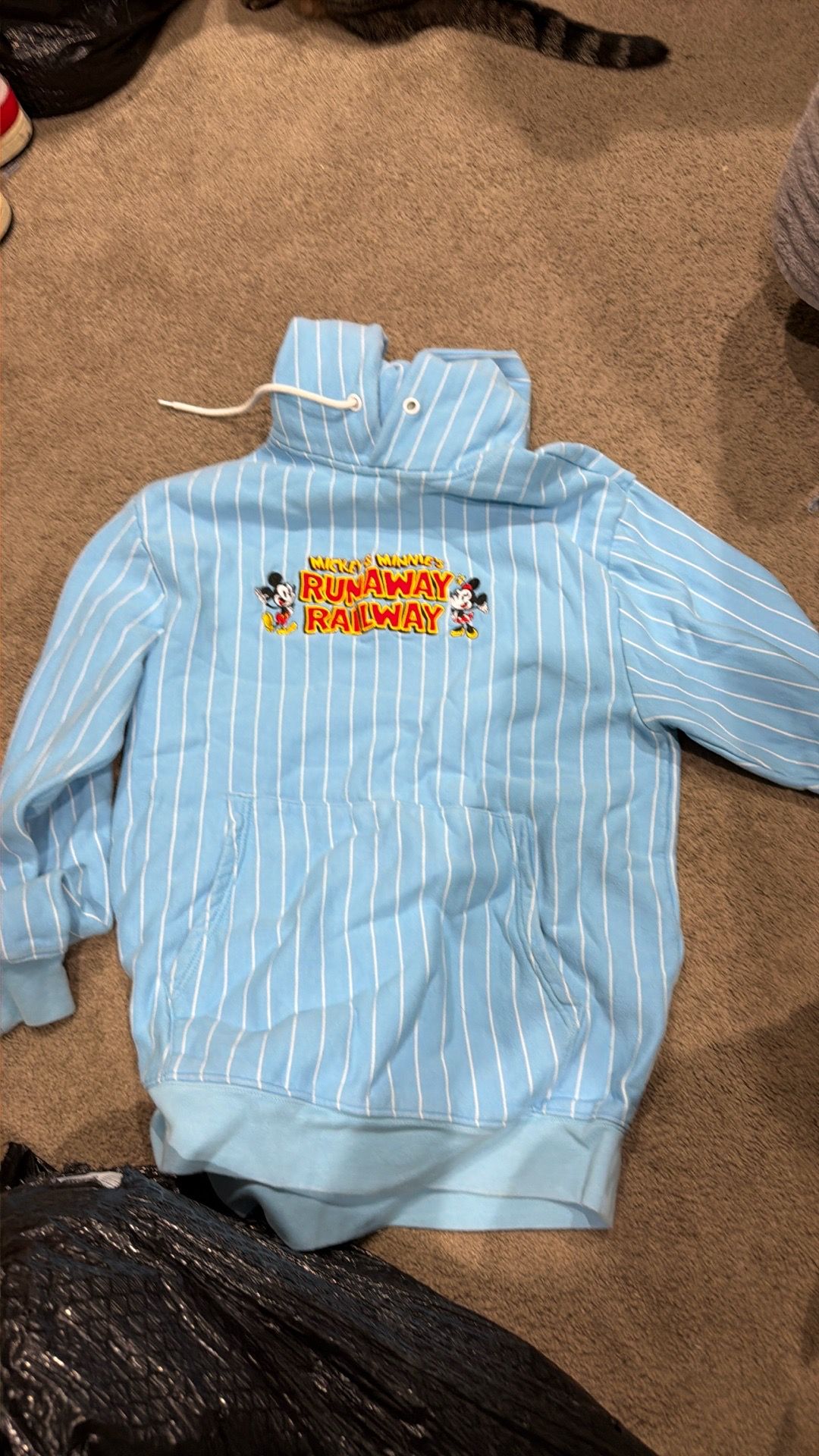 Disneyland Mickey and Minnie’s Runaway Railway Hoodie
