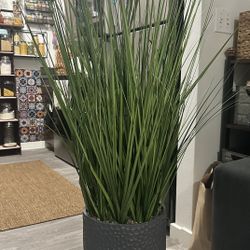 Faux Plant