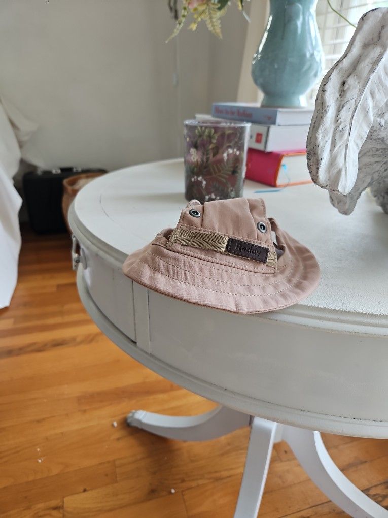 Reddy Small Hat Covering DOG