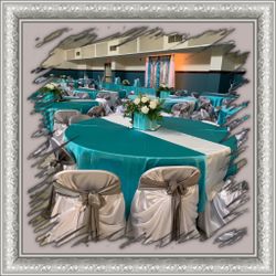 Chair Covers 