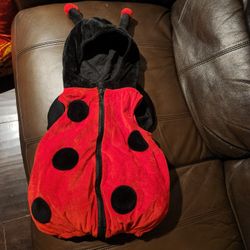 Ladybug Costume 
