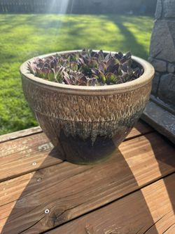 Ceramic Planter Succulents Included 9.5” x 11.5” 