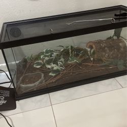 Reptile Tank 