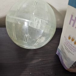Hamster Food,  Hamster Ball, and More.