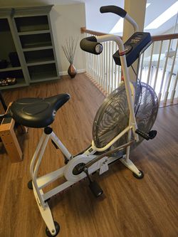 Schwinn Airdyne exercise bike