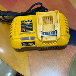 Dewalt Fast Charger