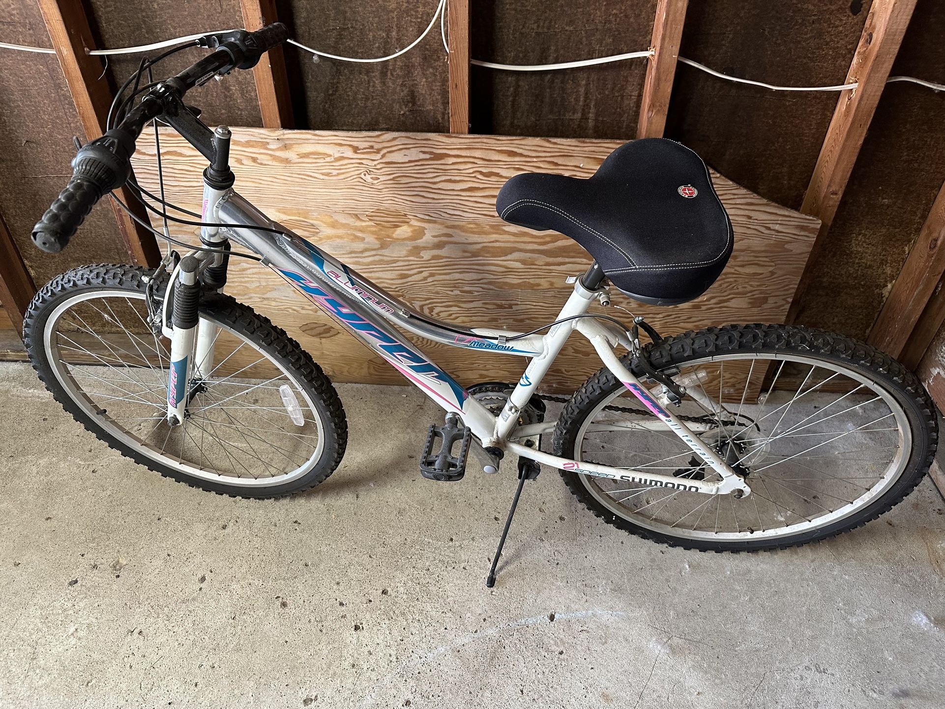 Adults Bike