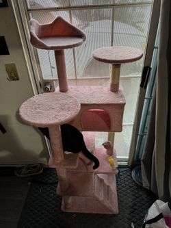 Cat Tree
