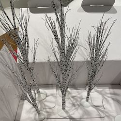 Winter Birch Trees Department 56 (Set Of 6)