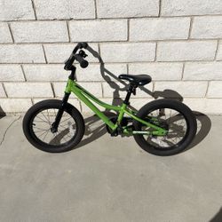 Giant 16” Bike 